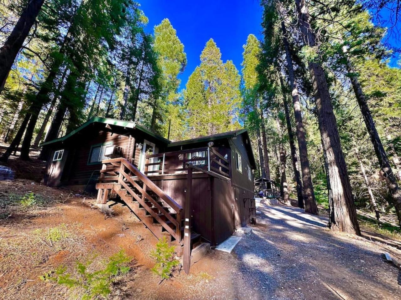 Cabin In The Trees - Hot Tub Villa Pollock Pines Kültér fotó