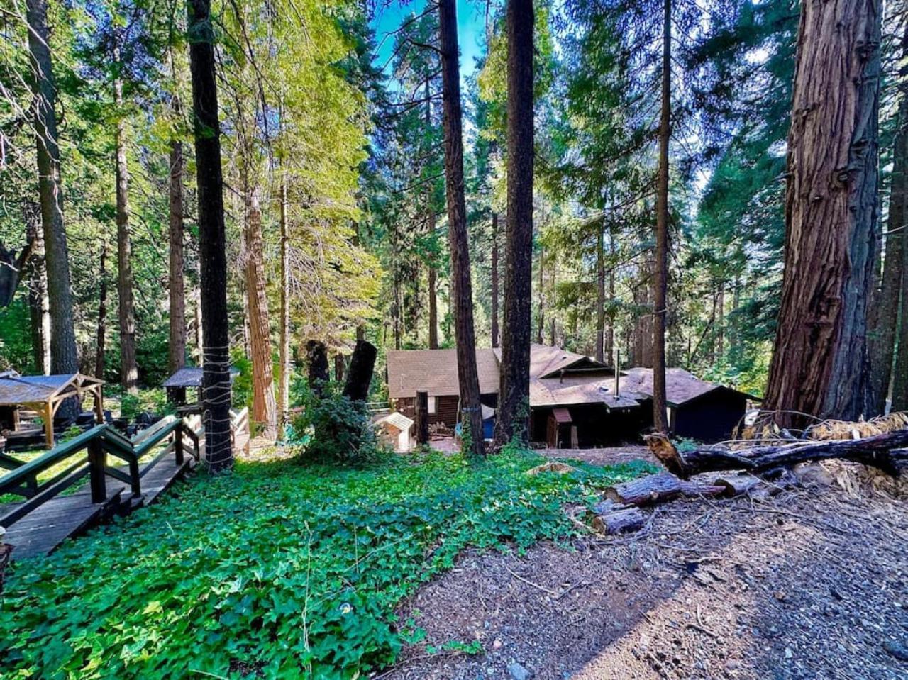 Cabin In The Trees - Hot Tub Villa Pollock Pines Kültér fotó